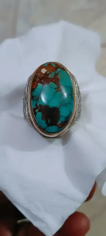 Pirus Persia lawasan istimewa