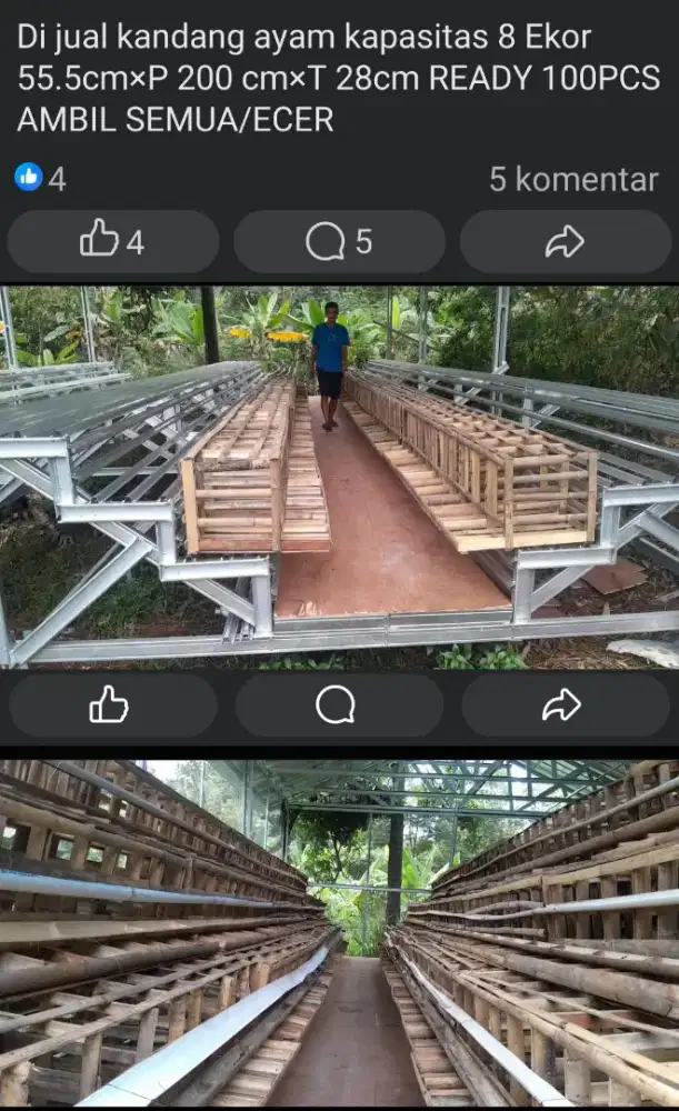 Di jual kandang ayam kapasitas 8EKOR