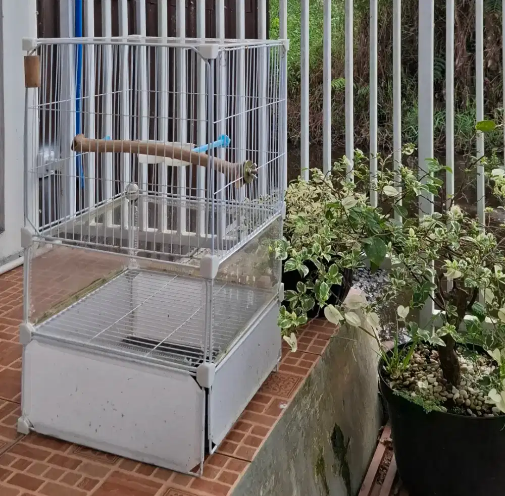 Kandang burung love bird dan burung kecil lainya