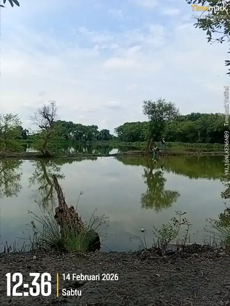 Cari pekerjaan pengganti /casual