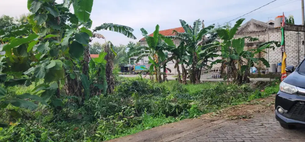 JUAL TANAH KAVLING DI GRESIK TANPA PERANTARA