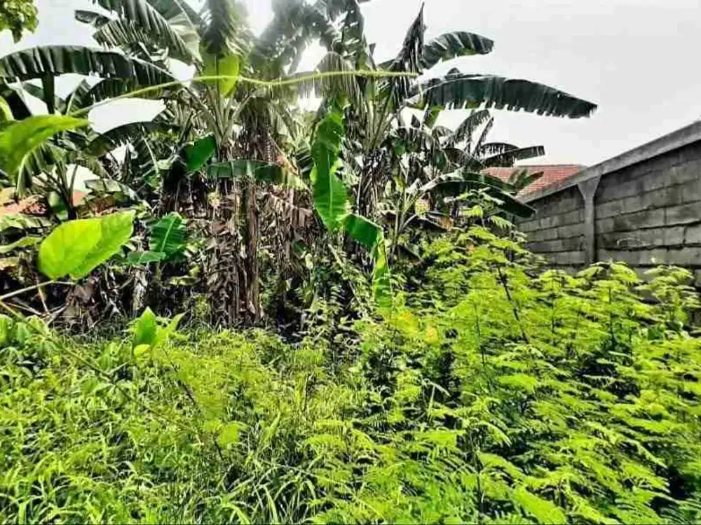 jual tanah sekardangan