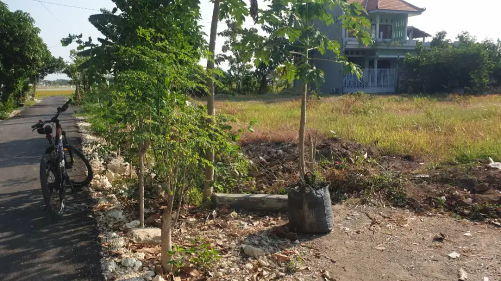 Dijual Tanah Pekarangan dalam kota