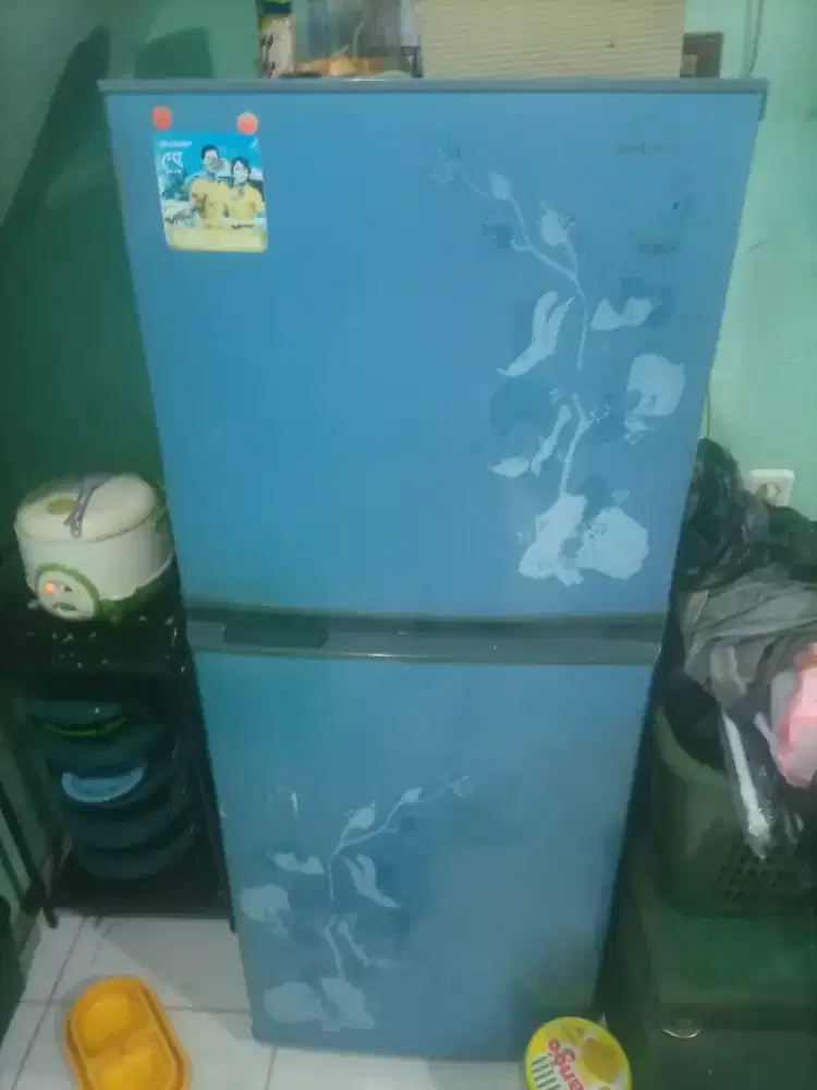 Kulkas bekas pemakaian sendiri