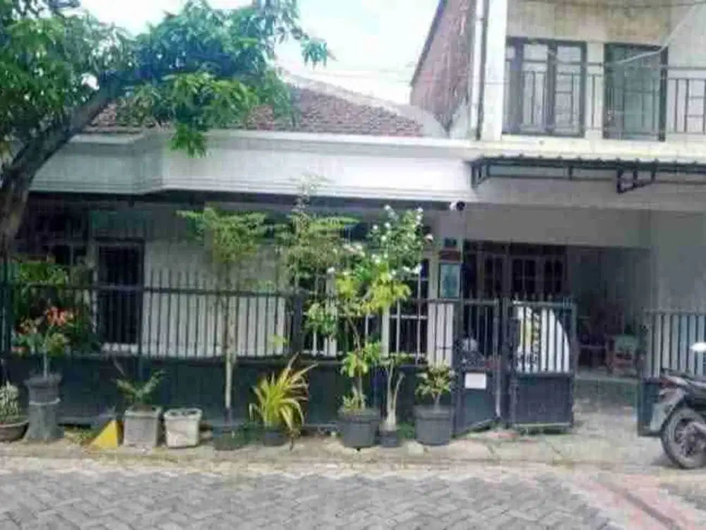 jual murah cepat tenggilis