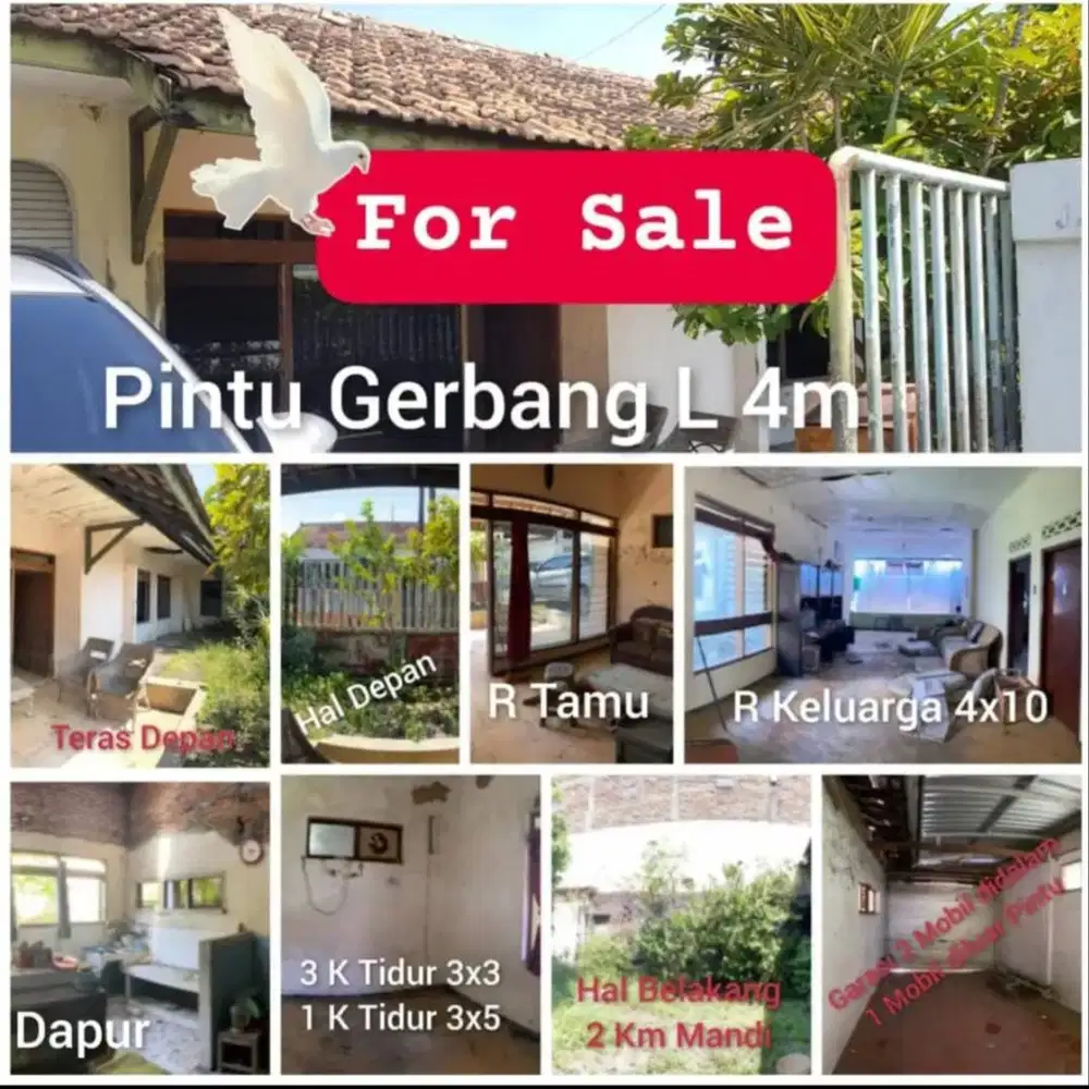 “Tanah Luas Bonus Rumah Full Batu Bata & Kayu Jati – Langka!”