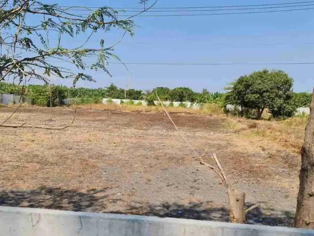 jual murah tanah dungus cerme gresik