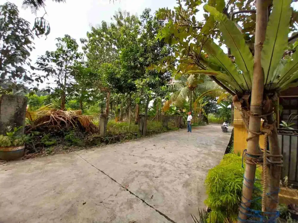 Dijual Tanah datar di Indraprasta kota Bogor