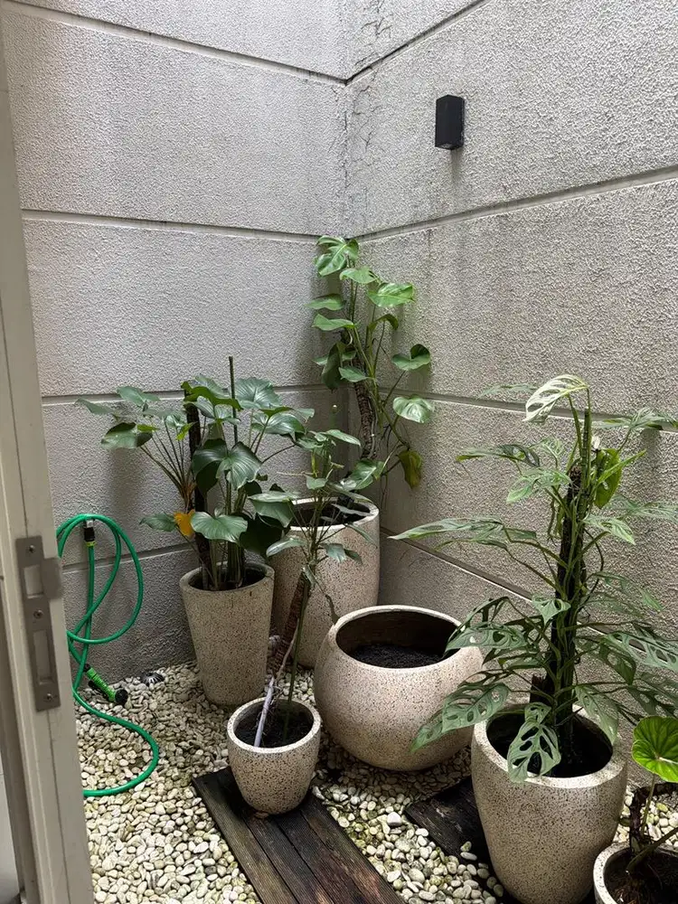 Pot bunga taman 5 pot