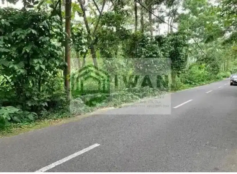 Tanah Iklim Sejuk Hadap Jalan Raya Kabupaten