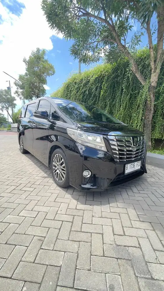 Alphard G atpm At