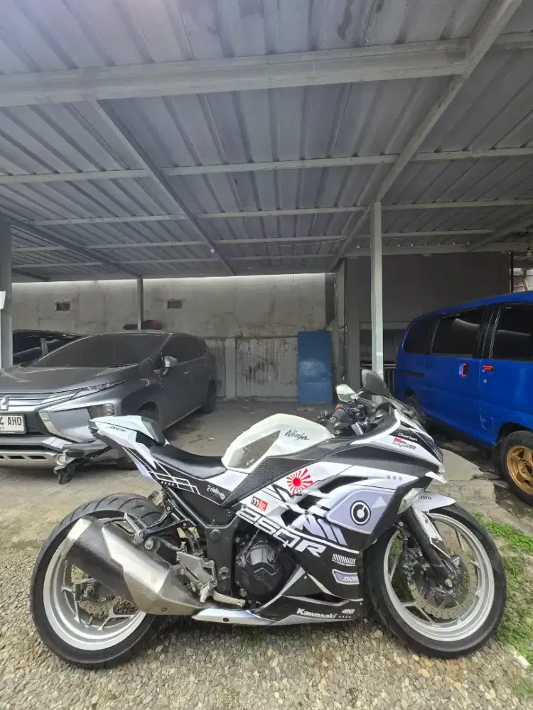 Kawasaki Ninja 250Fi Old
