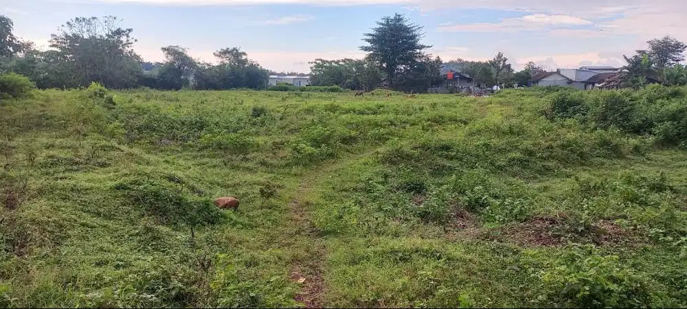 Di Jual murah tanah cocok untuk perumahan lokasi sangat strategis