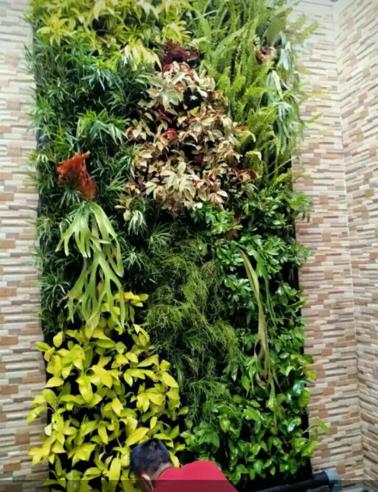 Vertical garden graha