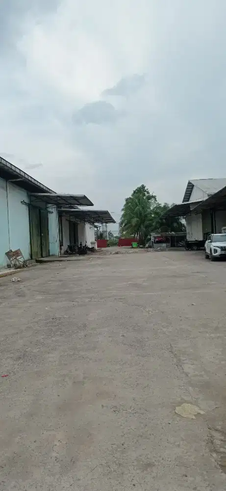 Disewakan gudang tanjung api api