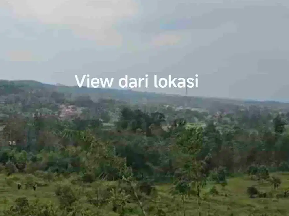 Jual Murah Tanah Kavling Perkebunan Bisa untuk Bangun Villa Lokasi Strategis di Jalur Puncak 2 Bogor