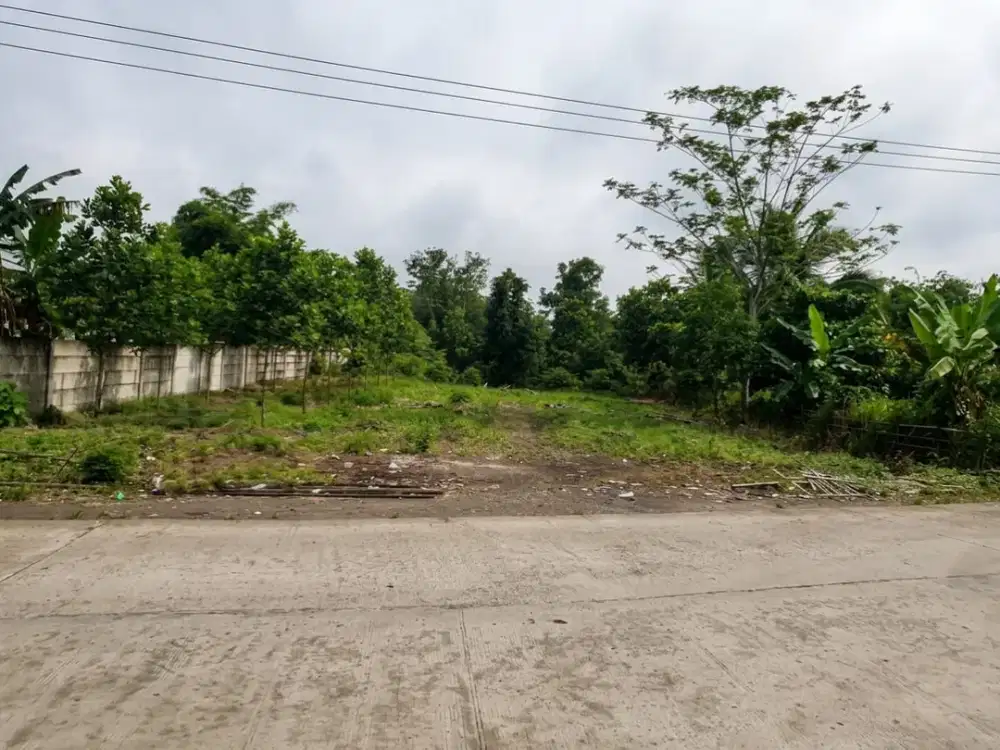 Kesempatan Terbatas! Lahan Besar Harga Kompetitif