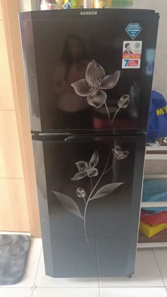 Kulkas 2 pintu sanken