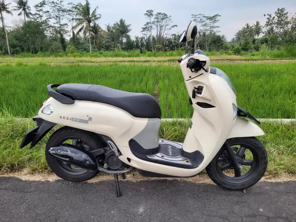 New Scoopy 2025 Fashion Krem bagus
