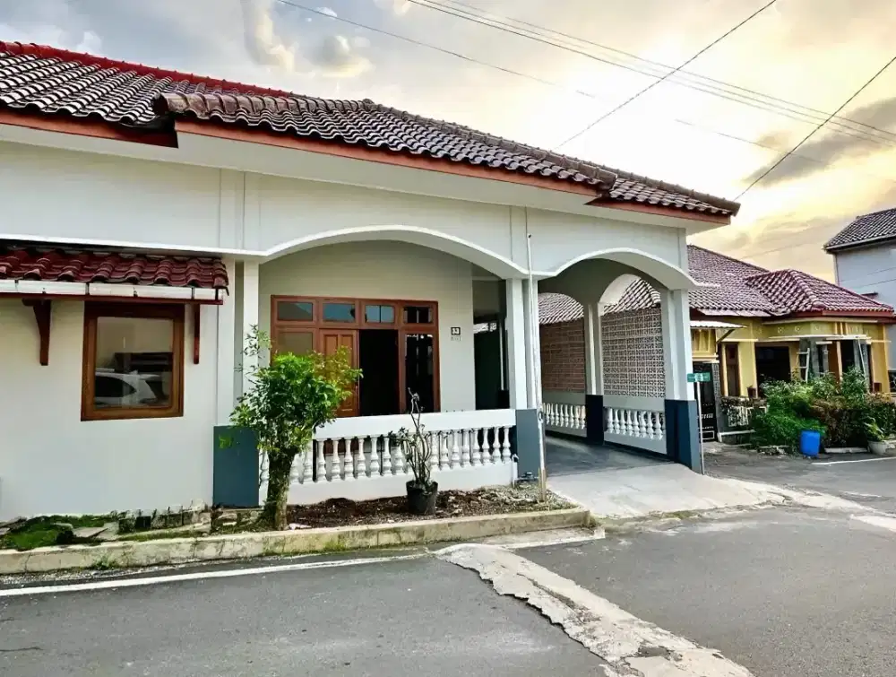 RUMAH SIAP HUNI NGESREP PATUNG KUDA UNDIP TEMBALANG
