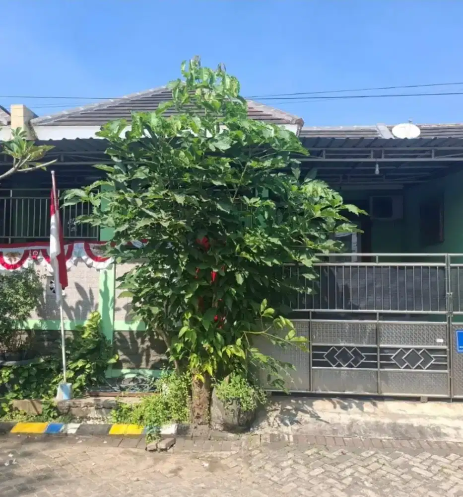 Jual Cepat Asset Bank Rumah Murah