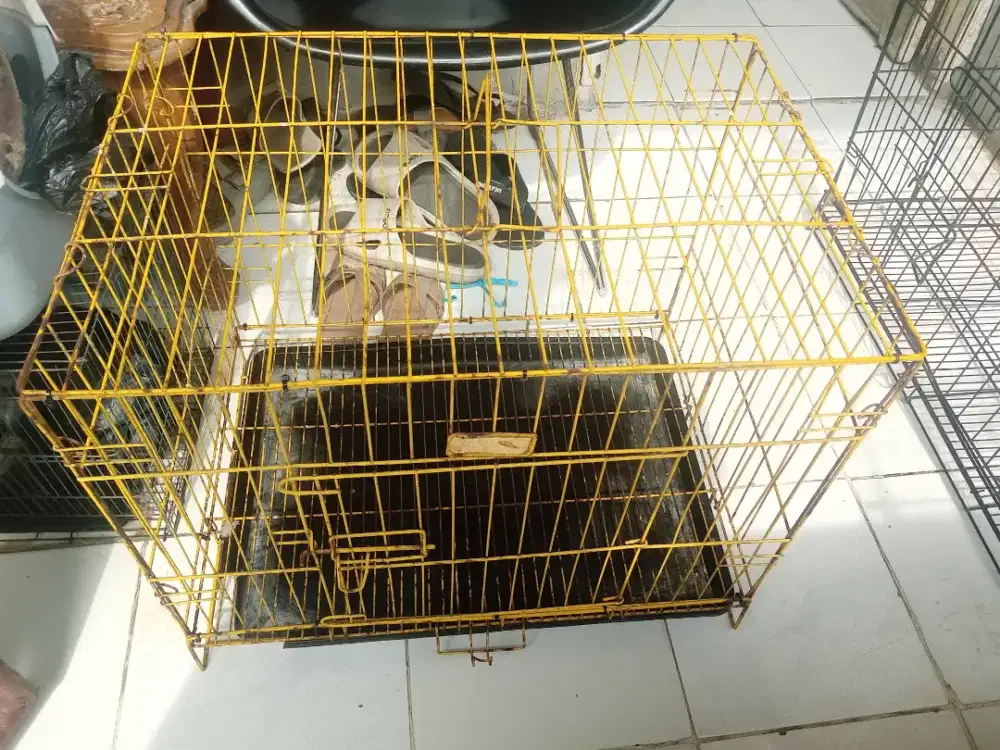 Kandang kucing second besi tebal