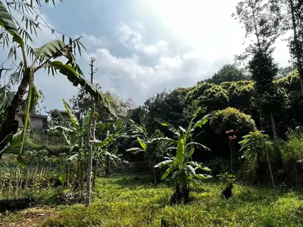 Tanah Matang Cibanteng: Cocok untuk Cluster, Cafe, atau Villa – Akses Truk & Air Melimpah