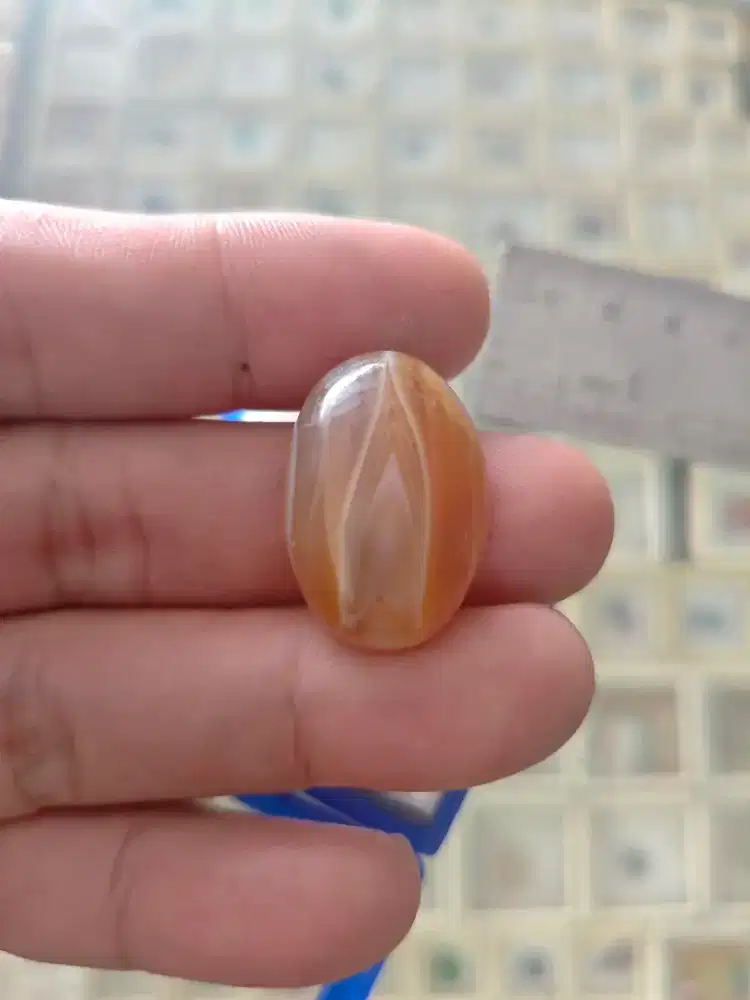 Batu Akik Junjung Derajat Jumbo