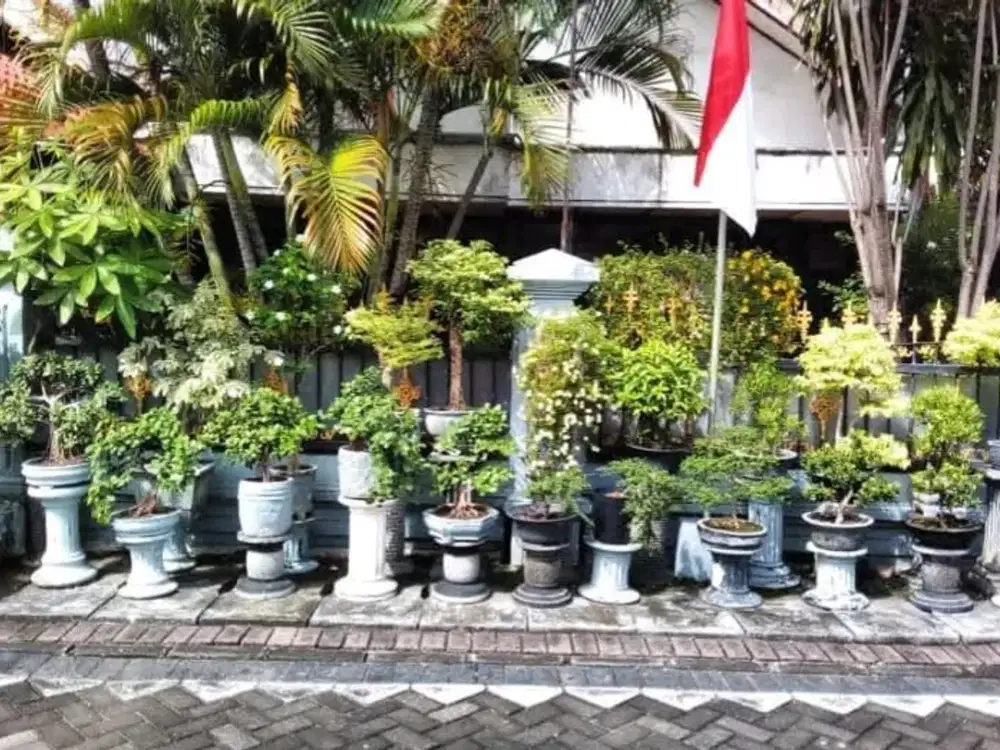 DIJUAL RUMAH SEMOLOWARU SELATAN SURABAYA RON.A2981