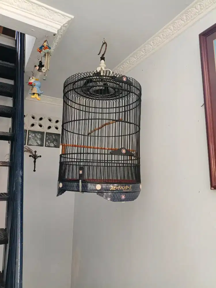 Sangkar murai Batu no 3