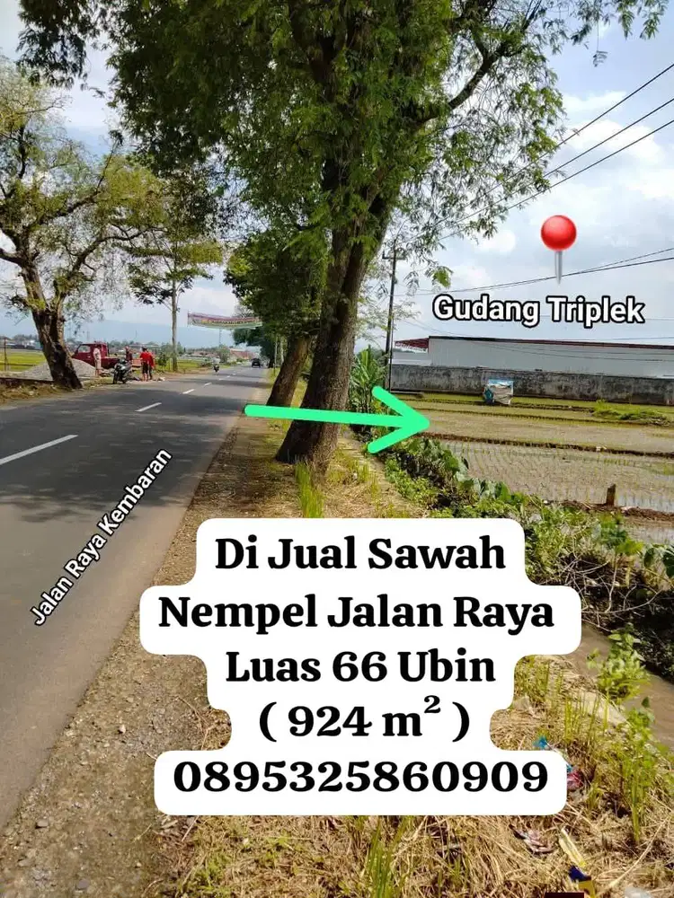 Jual sawah produktif lokasi strategisdekat jalan utama kota Purwokerto