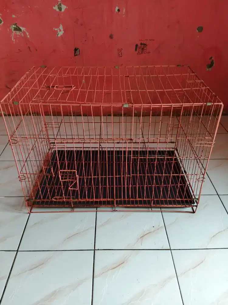 Kandang kucing bekas sedang