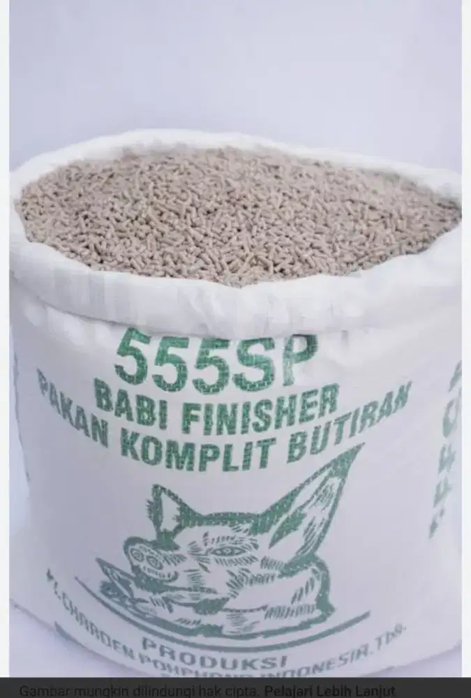Pakan pur BABI 555 SP