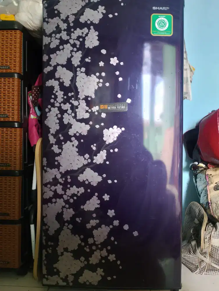 Kulkas SHARP 1 pintu