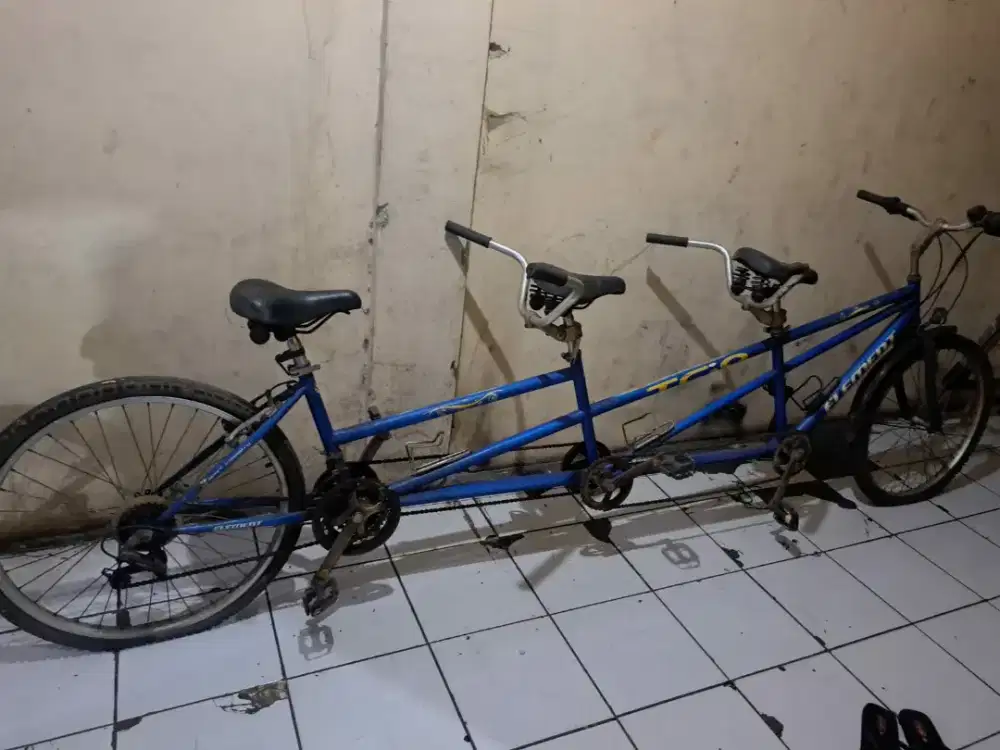JUAL SEPEDA TANDEM ELEMENT