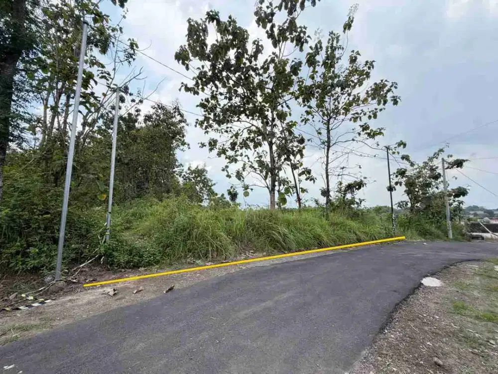 Tanah Pekarangan Luas 1.050 Cocok Untuk Perumahan di Gondangrejo