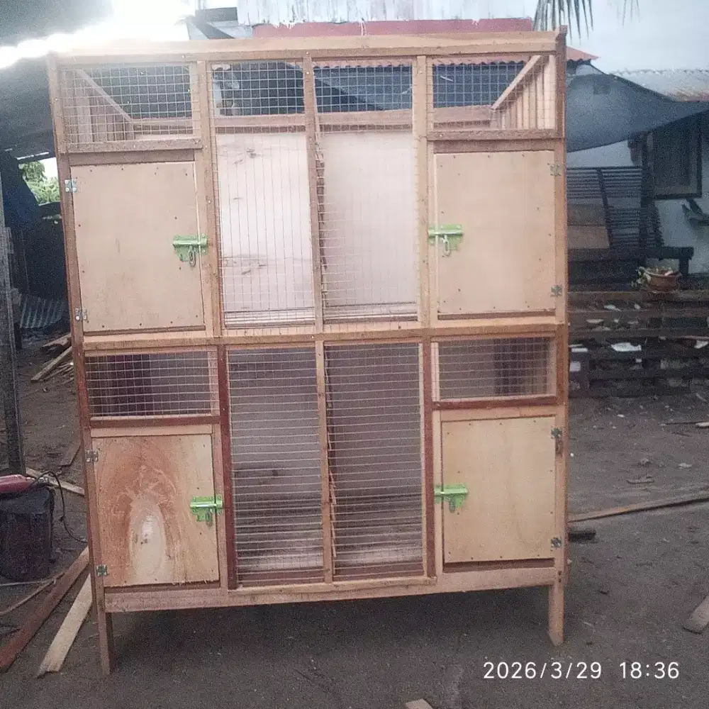Kandang 4 pintu