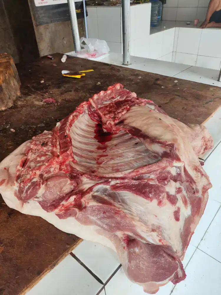 DAGING BABI FRESH MURAH