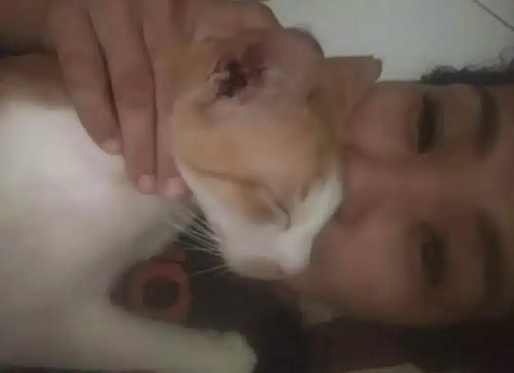 cari kerjaan bayar harian