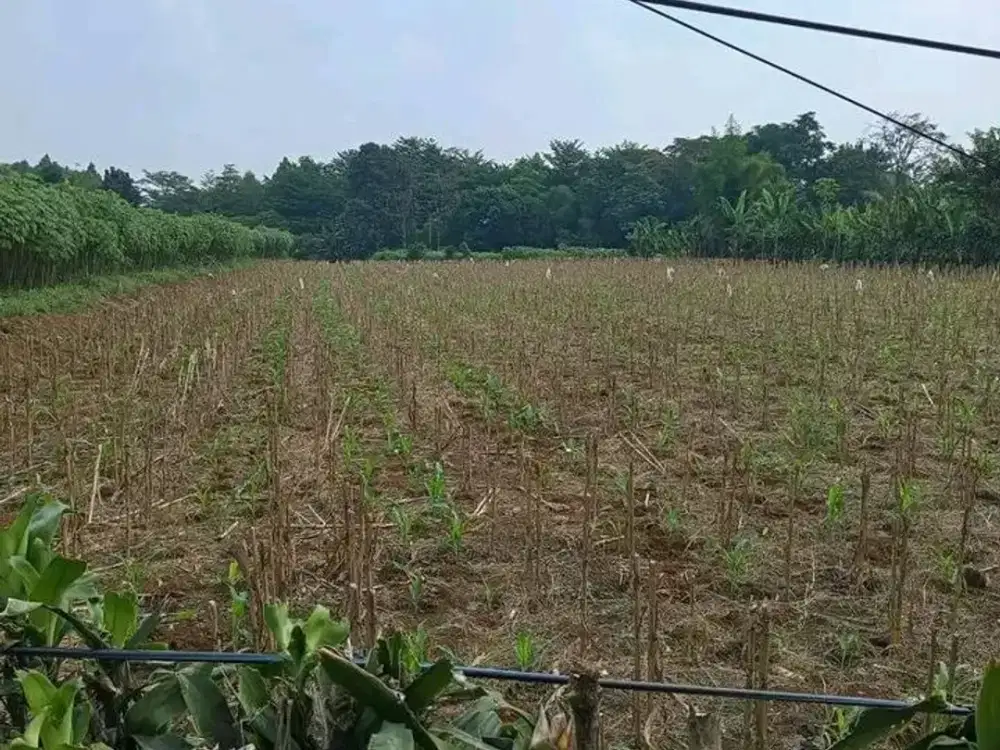 Dijual Cepat Tanah Komersial di Pinggir Tol Jagorawi