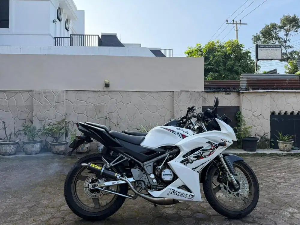 Kawasaki Ninja RR 2015