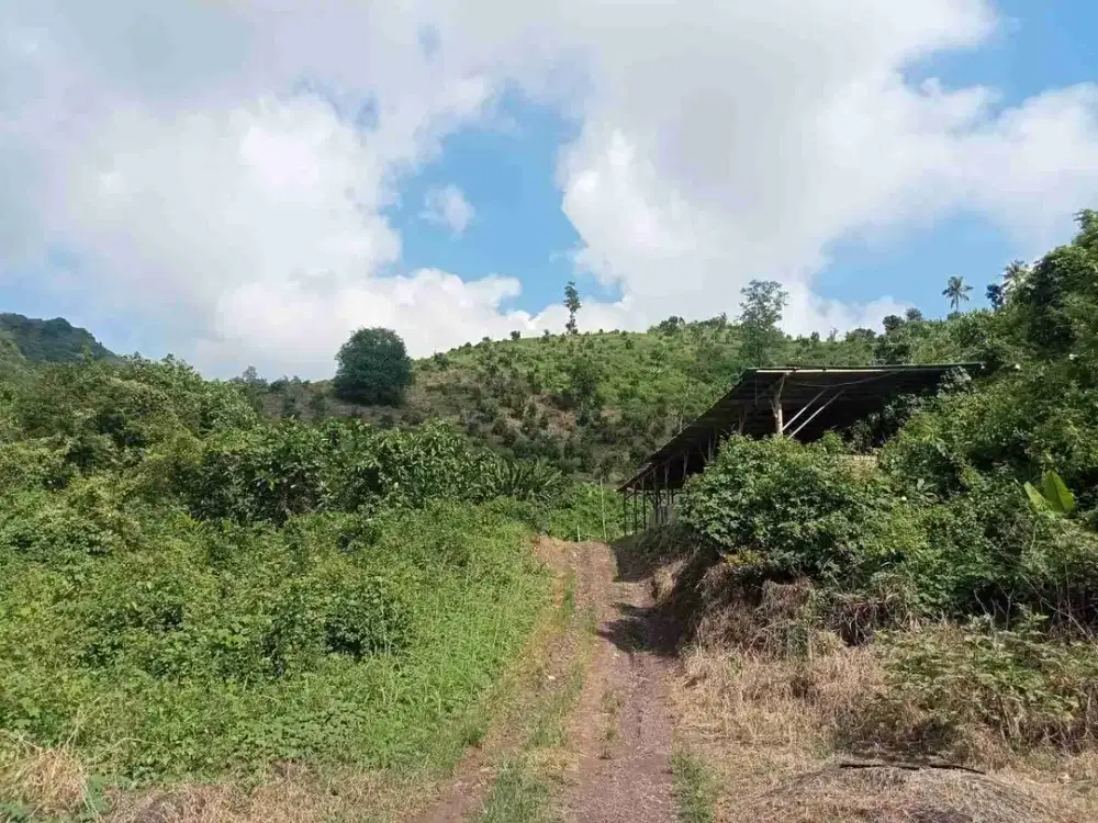tanah 10 hektar di tanjung kemala pugung