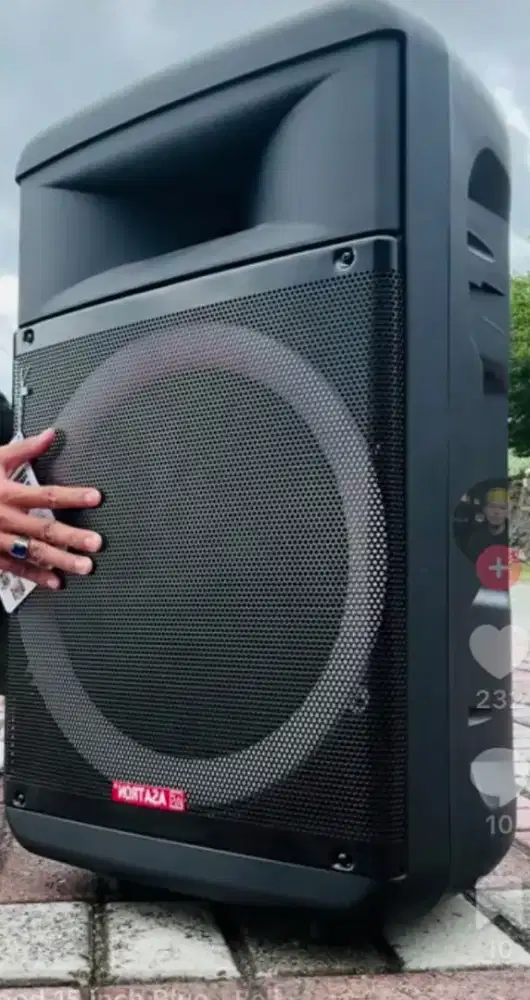 Speaker Asatron Hollywood 15 in