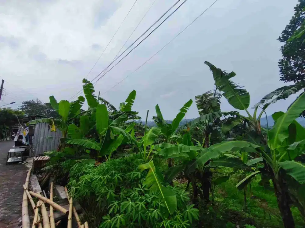Jual tanah siap bangun di tinjomoyo