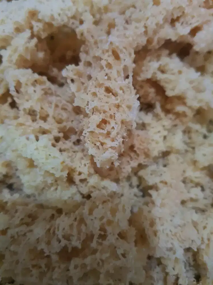 Kremes Sari Ayam Krez Mamz 100gr