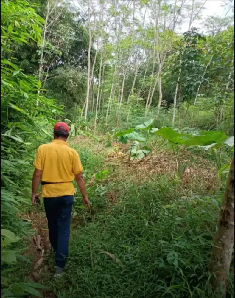 Jual Tanah Luas 10.770 Rangkas Bitung