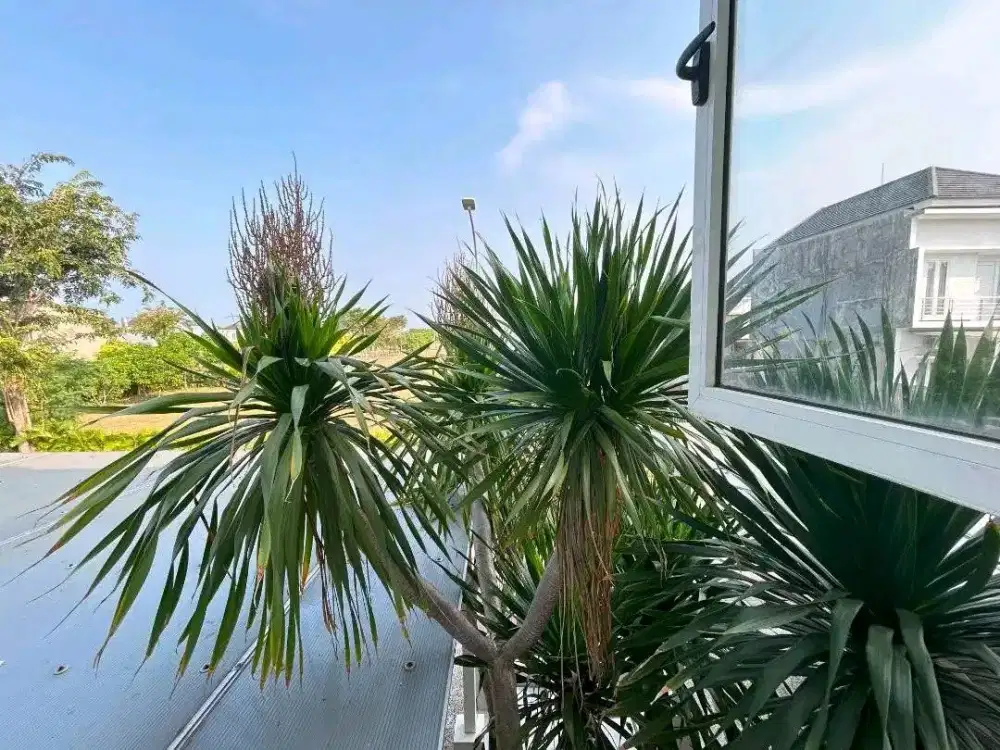 DIJUAL RUMAH PAKUWON CITY GRAND ISLAND SURABAYA RON.A2865