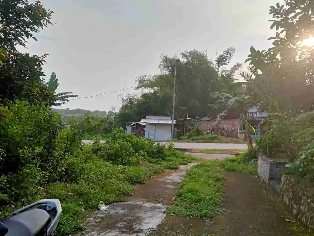 Di Jual Tanah Rumah Tunggul Moro Kutoporong Bangsa Mojokerto Ada Kandang Sapi
