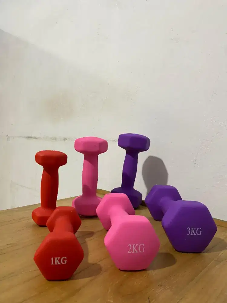Ready Dumbble 1kg 2kg 3kg sepasang