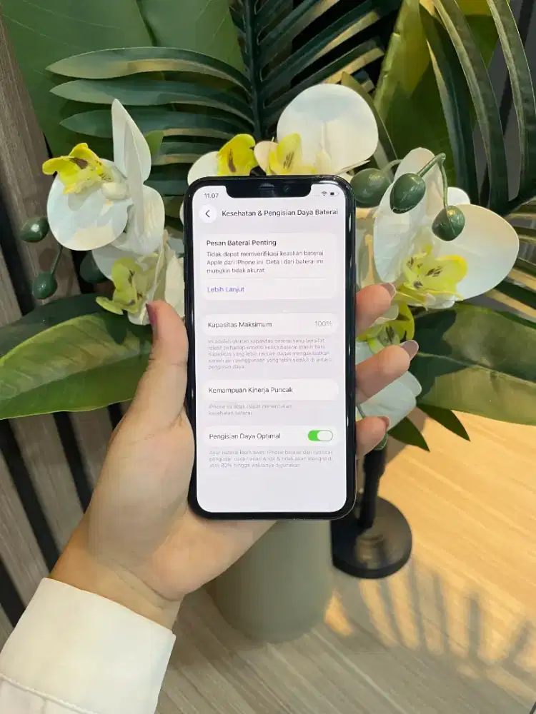 iP 11pro 256gb beacukai